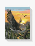 Malen nach Zahlen – Adler
