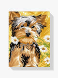 Malen nach Zahlen – Blume Yorkie