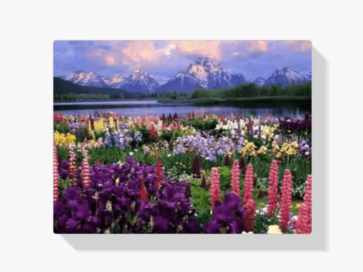 Malen nach Zahlen – Blumen im Feld
