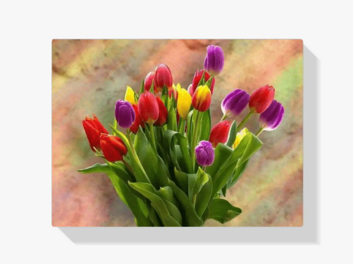 Malen nach Zahlen – Bunte Tulpen