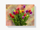 Malen nach Zahlen – Bunte Tulpen