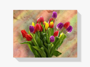 Malen nach Zahlen – Bunte Tulpen