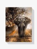 Malen nach Zahlen – Elefant mit sonnenuntergang