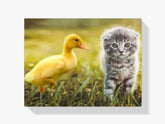 Malen nach Zahlen – Ente spielt mit Katze