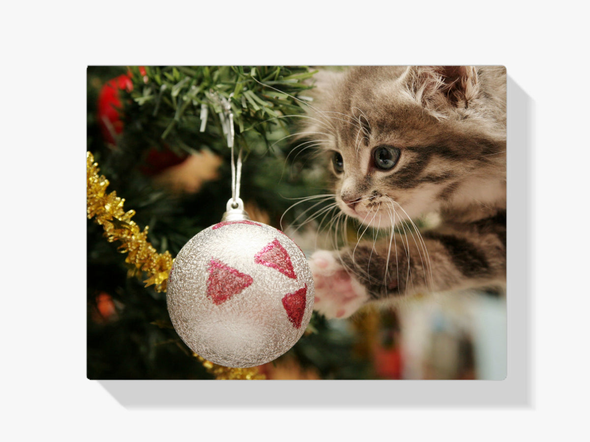Malen nach Zahlen – Katze mit Weihnachtskugel