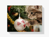 Malen nach Zahlen – Katze mit Weihnachtskugel