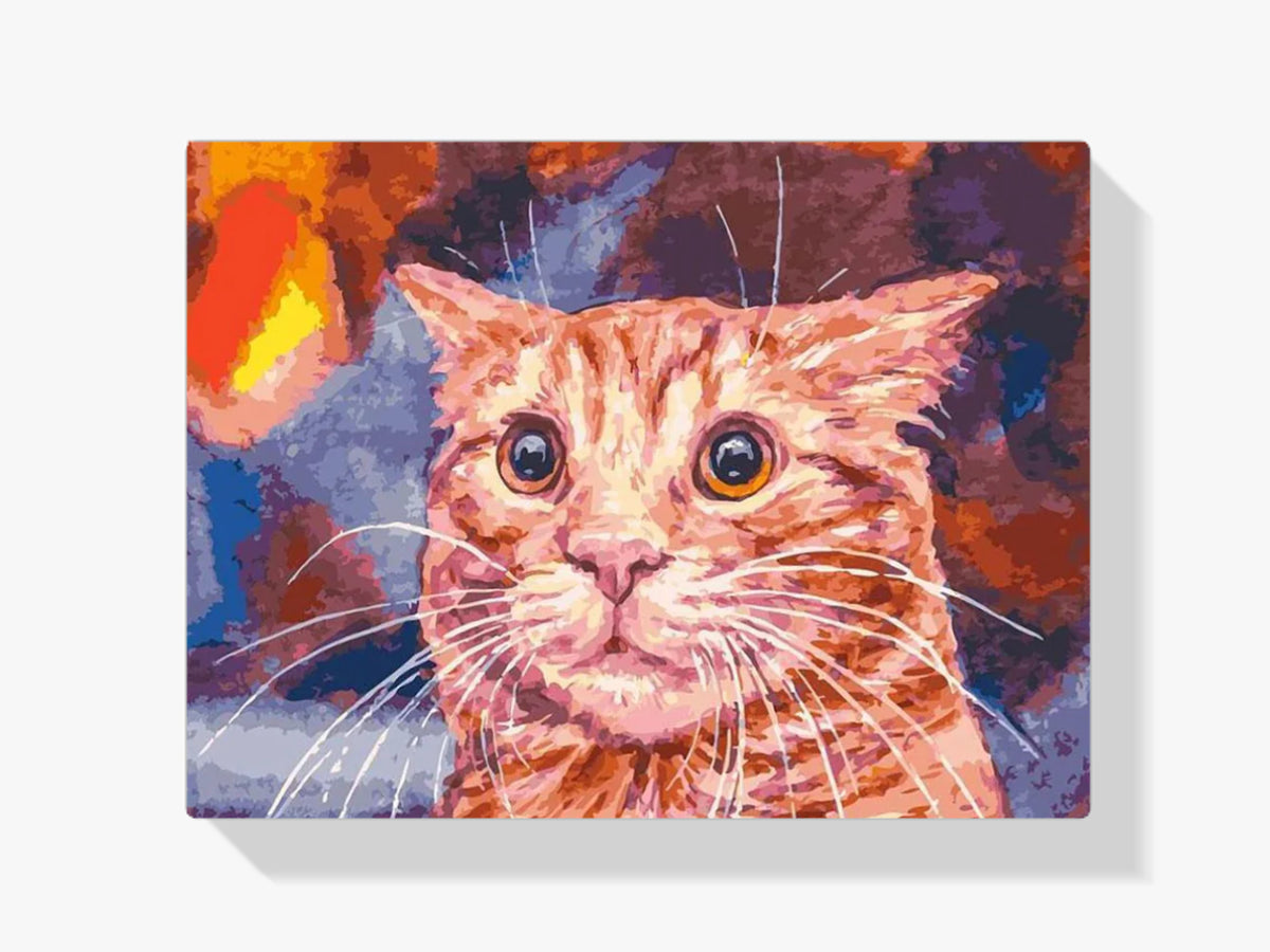 Malen nach Zahlen – Lustige Katze
