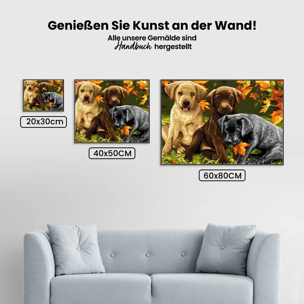 Malen nach Zahlen – Prächtige Hunde