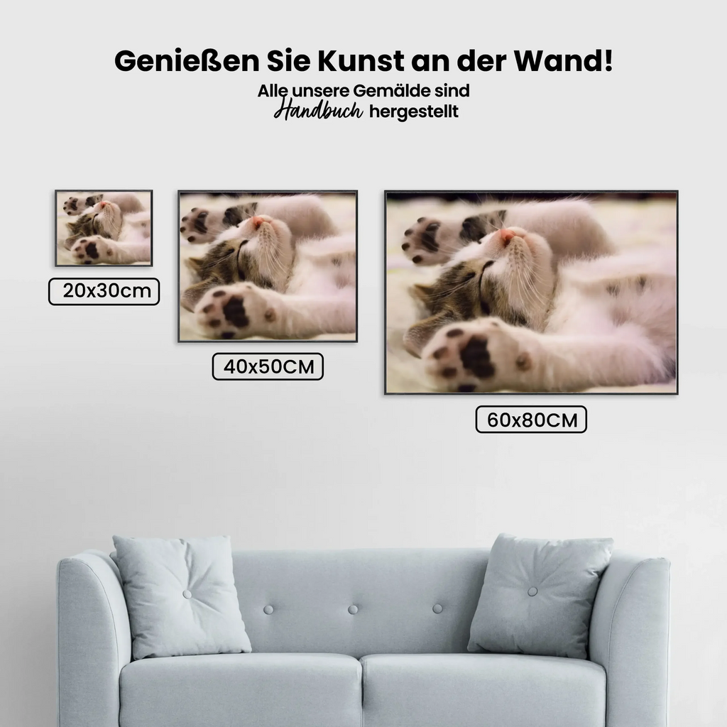 Malen nach Zahlen – Schlafende Katze