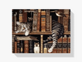 Malen nach Zahlen – Schlafende Katze in der Bibliothek