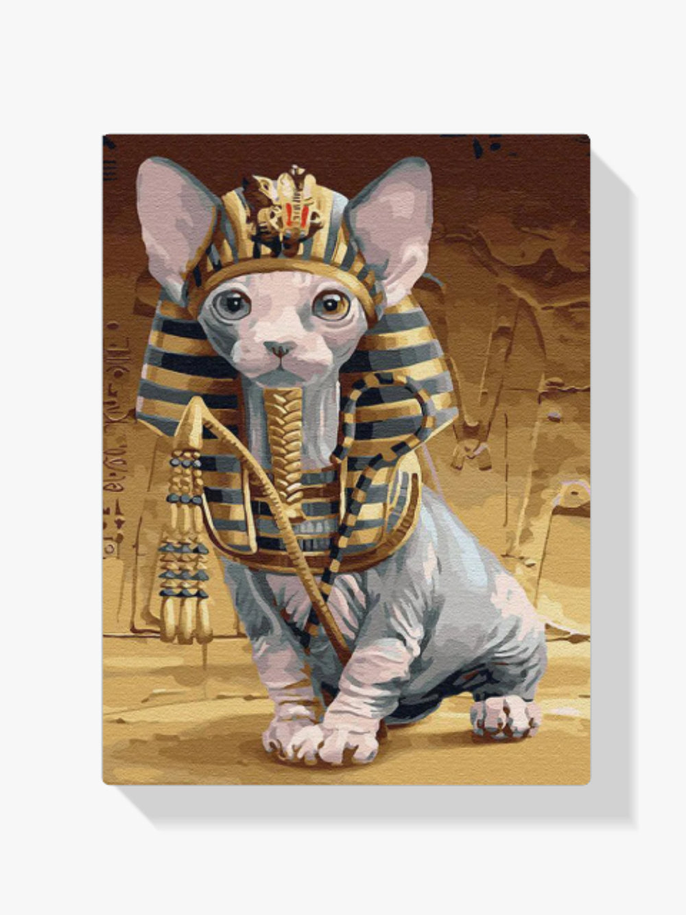 Malen nach Zahlen – Sphynx-Katze