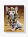 Malen nach Zahlen – Sphynx-Katze
