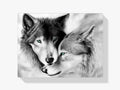 Malen nach Zahlen – Weißes Wolfs-Paar