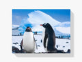 Malen nach Zahlen – Zwei ruhende Pinguine