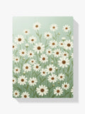 Malen nach Zahlen - Gänseblümchen-Wiesen Landhaus-Wildblume