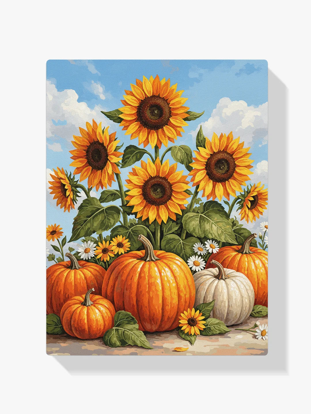 Malen nach Zahlen - Herbstkürbis Sonnenblume