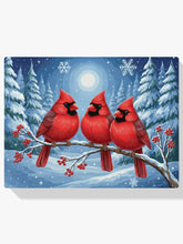 Malen nach Zahlen - Kardinalvögel auf einem frostbedeckten Ast