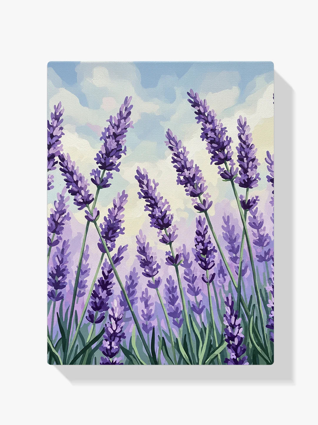 Malen nach Zahlen - Lavendelblüte