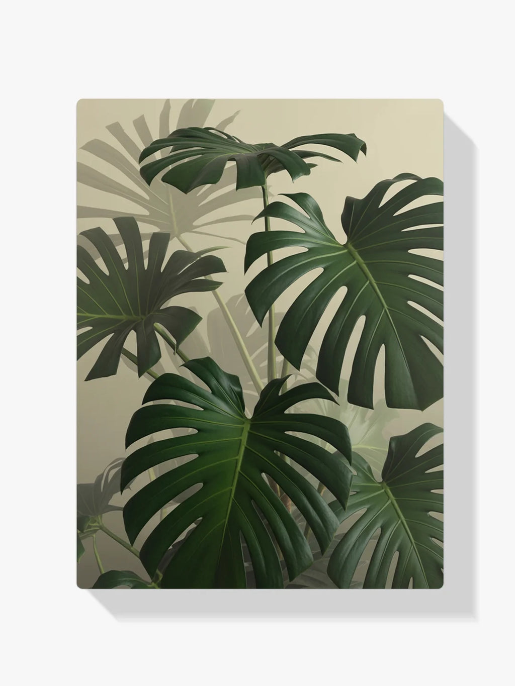 Malen nach Zahlen - Monstera-Blatt