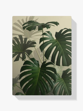 Malen nach Zahlen - Monstera-Blatt