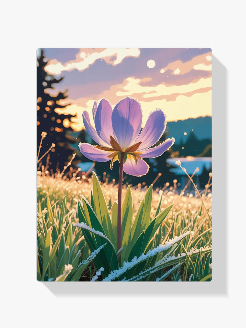 Malen nach Zahlen - Sonnenwendeblüte