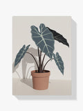 Malen nach Zahlen - Vintage-Pflanze Botanisch