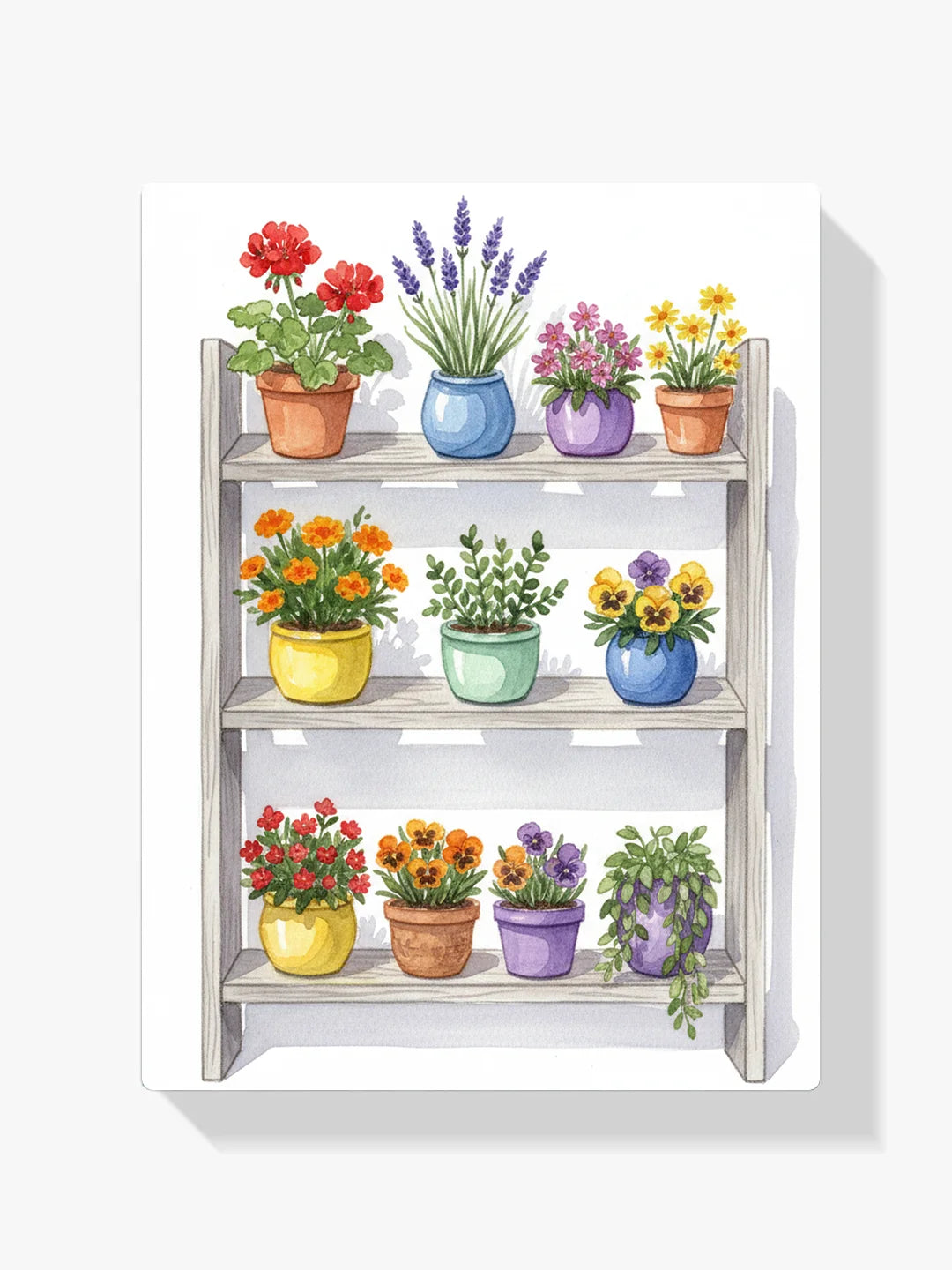 Malen nach Zahlen - Zimmerpflanzen Blumen