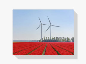 Niederländischer Sommer - Malen nach Zahlen