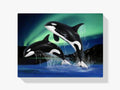 Orca bei Nordlicht - Malen nach Zahlen