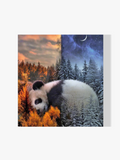 Pandabär - Malen nach Zahlen