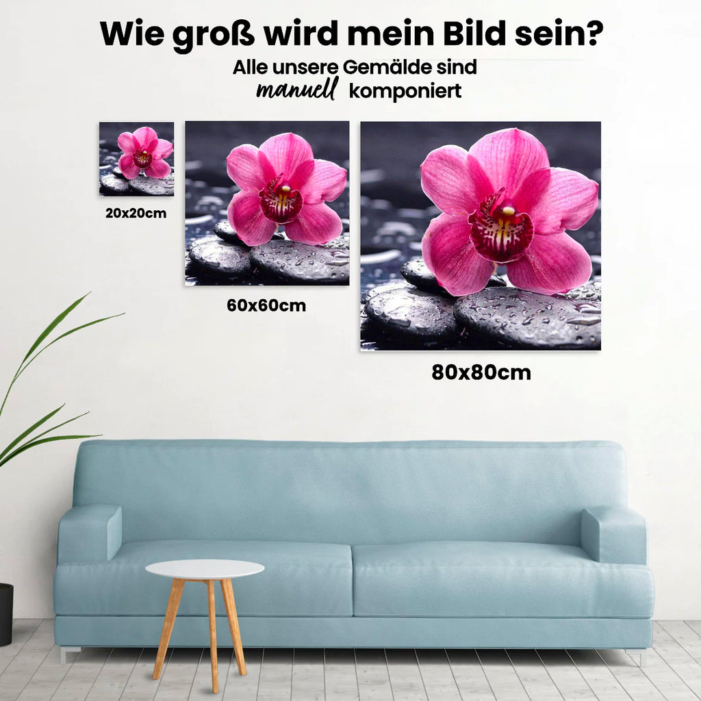 Rosa Blume auf Stein - Malen nach Zahlen