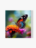 Schmetterling auf einer Blume - Malen nach Zahlen