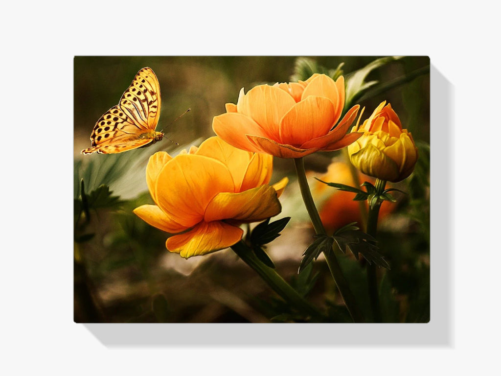 Schmetterling auf oranger Blüte - Malen nach Zahlen