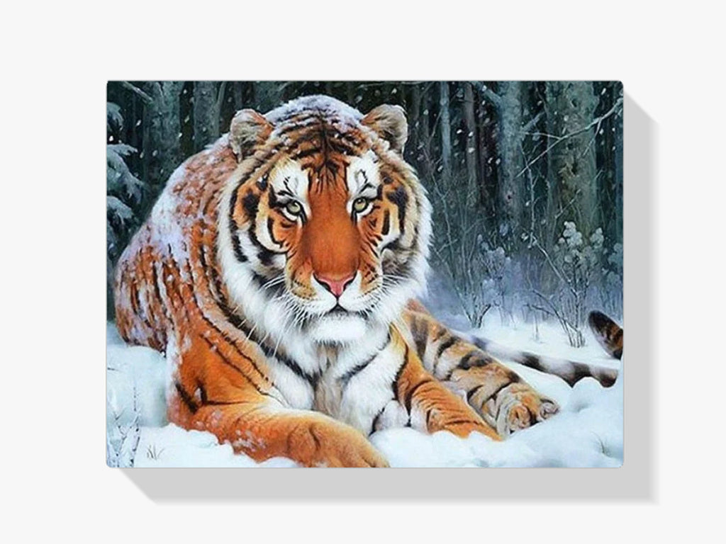 Schnee Tiger - Malen nach Zahlen