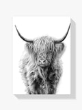 Schottischer Highlander - Malen nach Zahlen