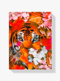 Tiger - Malen nach Zahlen