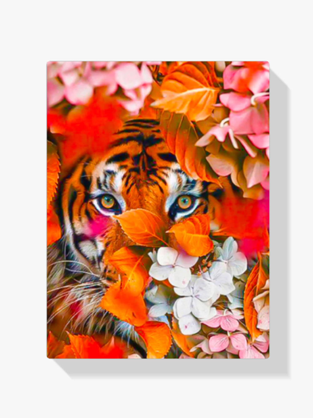 Tiger - Malen nach Zahlen
