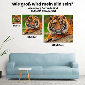 Tiger - Malen nach Zahlen
