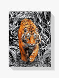 Tiger - Malen nach Zahlen