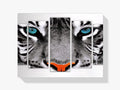 Tiger mit blauen Augen - Malen nach Zahlen