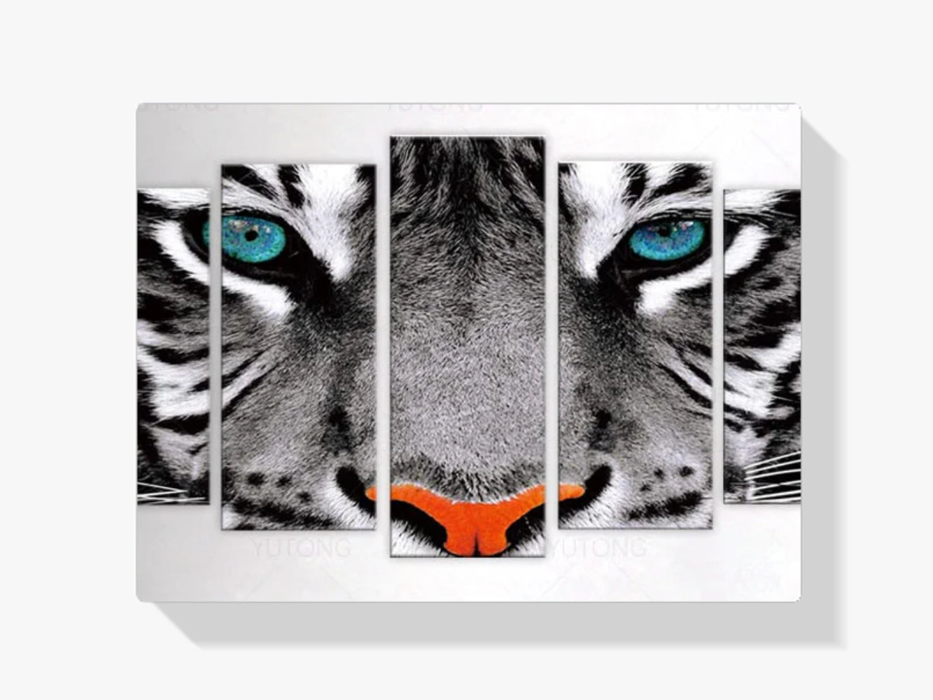 Tiger mit blauen Augen - Malen nach Zahlen