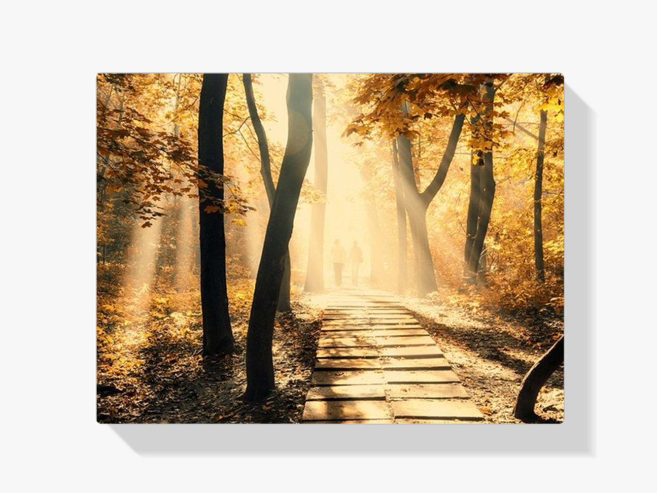 Waldweg - Malen nach Zahlen