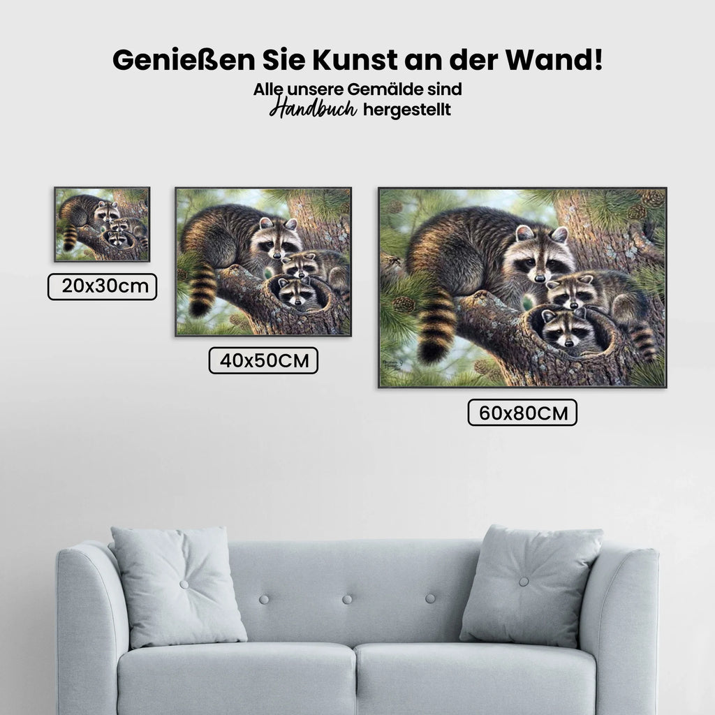 Waschbär - Malen nach Zahlen