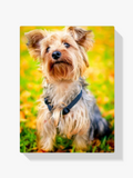 Yorkie im Herbst - Malen nach Zahlen
