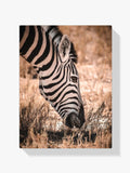 Zebra Savanne - Malen nach Zahlen